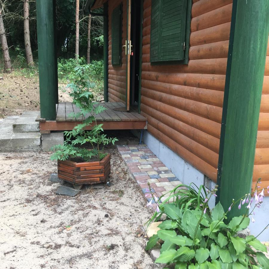 Agroturystyka Oaza Ciszy I Spokoju Miedzychod エクステリア 写真