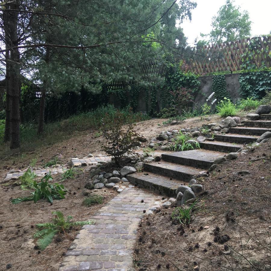 Agroturystyka Oaza Ciszy I Spokoju Miedzychod エクステリア 写真