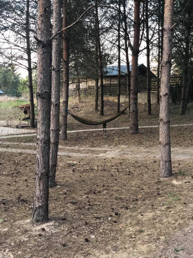 Agroturystyka Oaza Ciszy I Spokoju Miedzychod エクステリア 写真