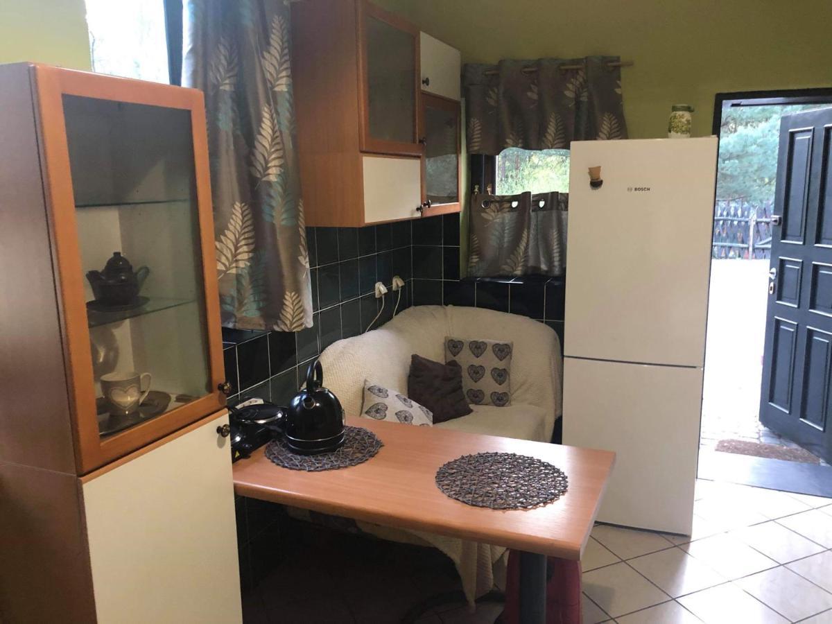 Agroturystyka Oaza Ciszy I Spokoju Miedzychod エクステリア 写真