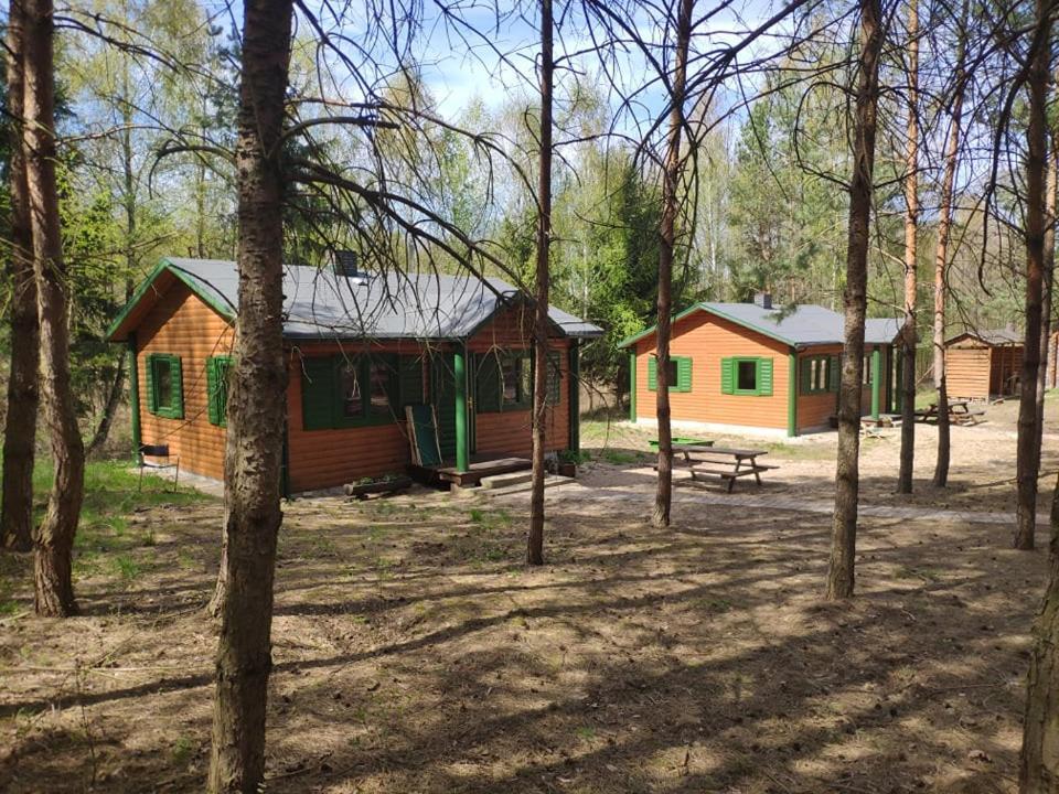 Agroturystyka Oaza Ciszy I Spokoju Miedzychod エクステリア 写真